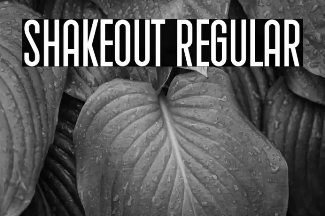 Shakeout Regular Font examples