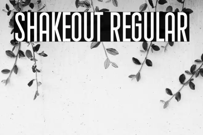 Shakeout Regular Font examples