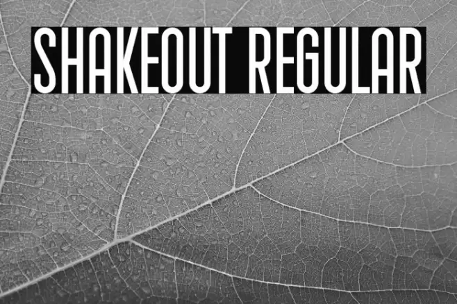 Shakeout Regular Font examples