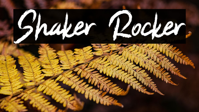 Shaker Rocker Example 1