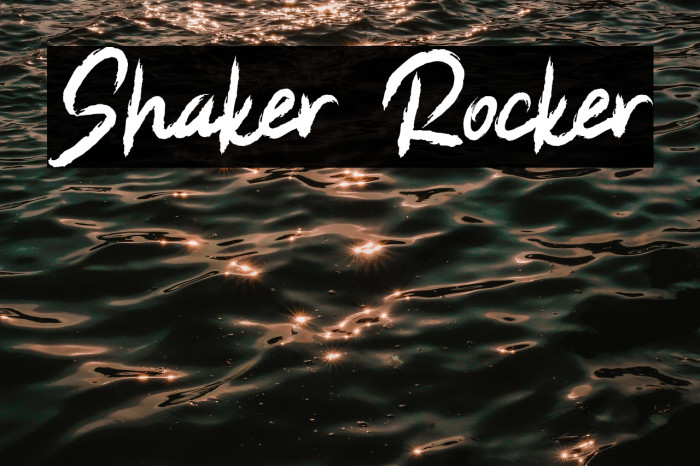 Shaker Rocker Example 2