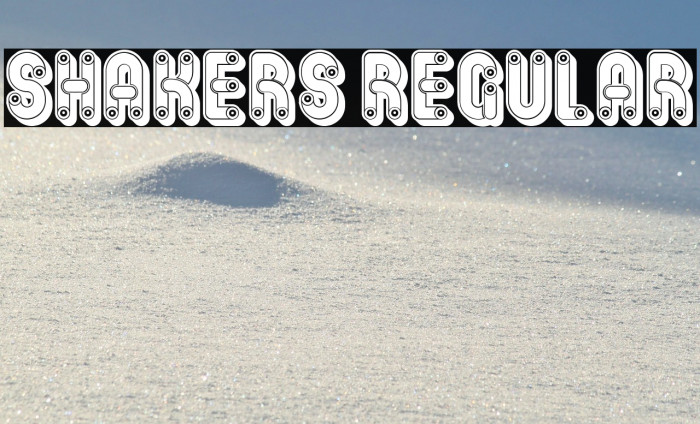 Shakers Regular Example 1