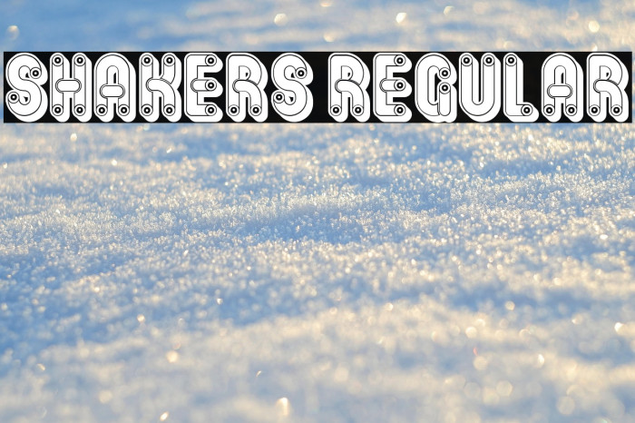 Shakers Regular Example 2