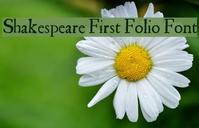 Shakespeare First Folio Font Example 3