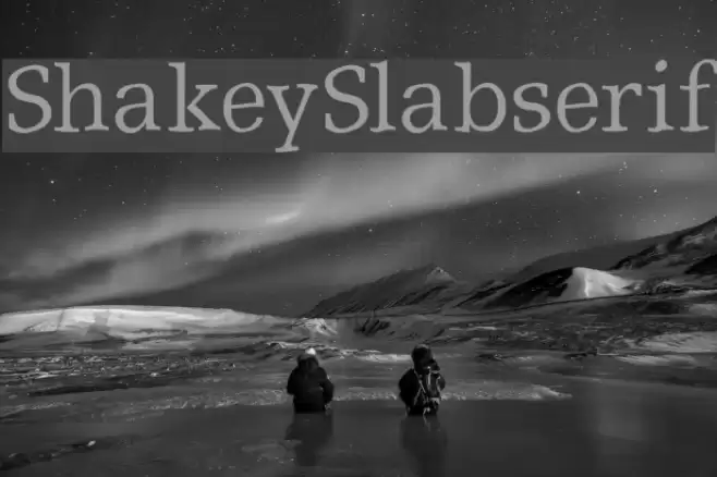ShakeySlabserif Font examples