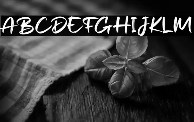 Shakies  Font examples