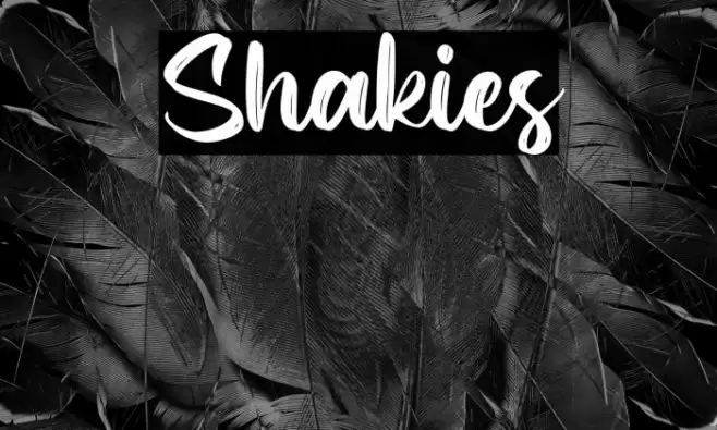 Shakies Font examples