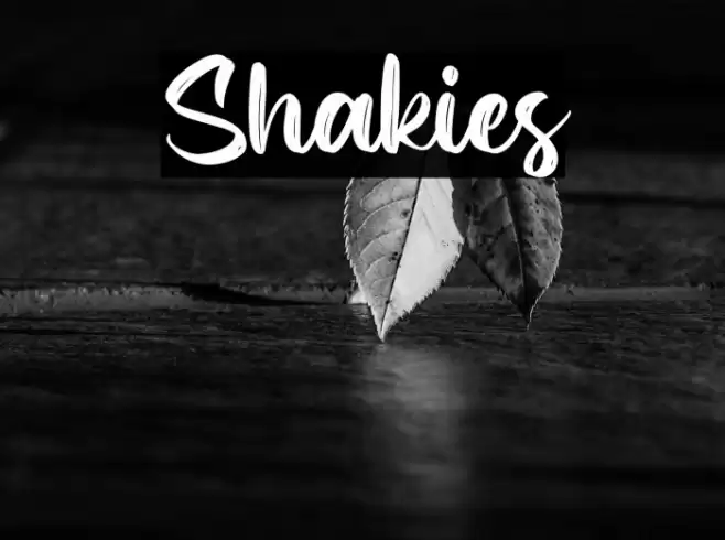 Shakies Font examples