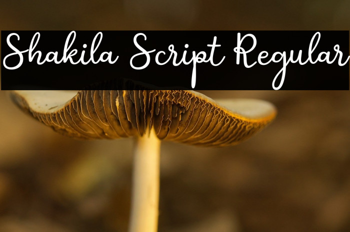 Shakila Script Regular Example 2