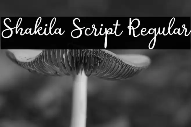 Shakila Script Regular Font examples