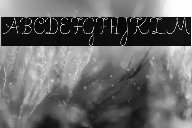 Shakila Font examples