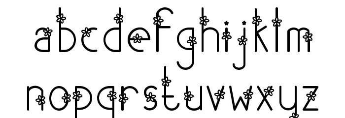 Shakila Font LOWERCASE