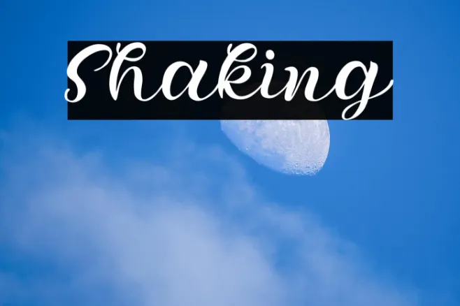 Shaking Example 2