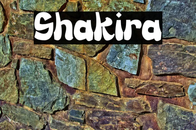 Shakira Example 3