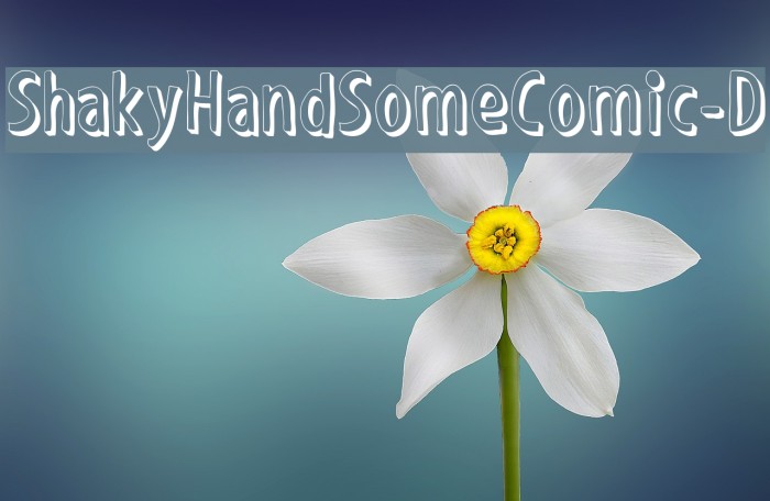 ShakyHandSomeComic-D Font examples