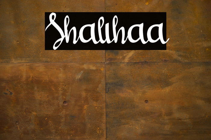 Shalihaa Example 2