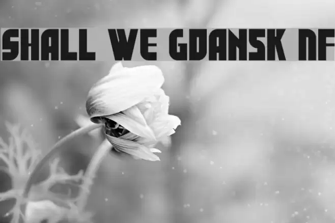 Shall We Gdansk NF Font examples