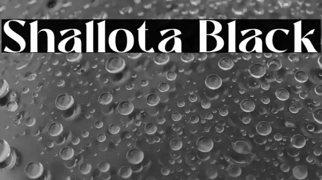Shallota Black Font examples