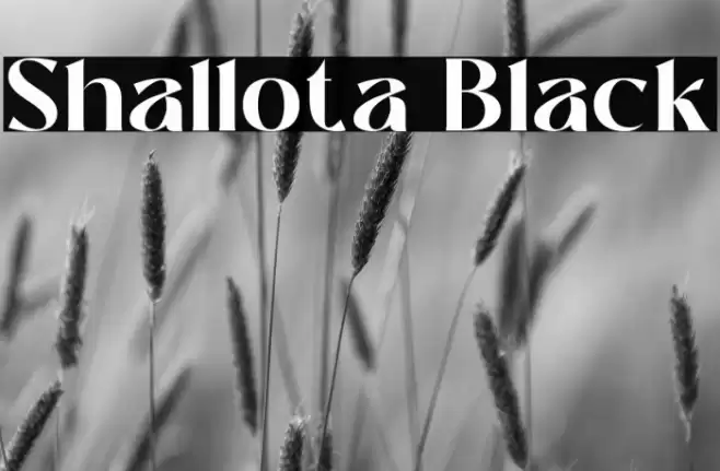 Shallota Black Font examples