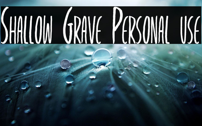 Shallow Grave Personal use Example 3