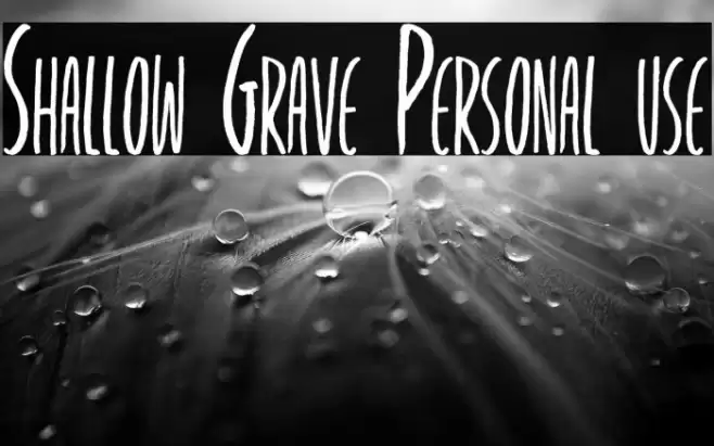 Shallow Grave Personal use Caratteri examples