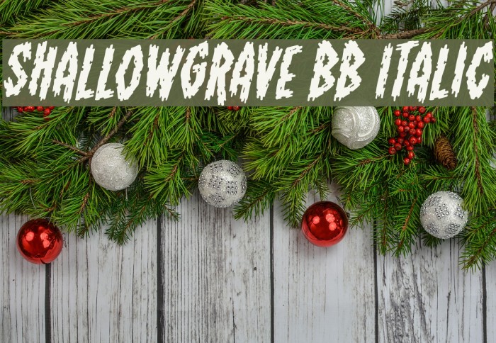ShallowGrave BB Italic Font examples