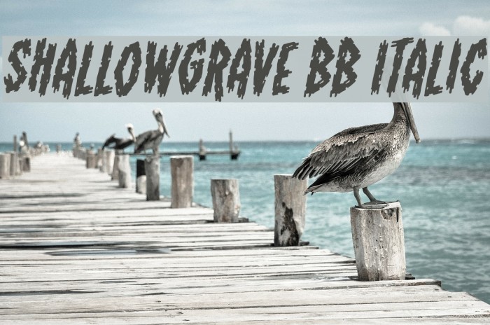 ShallowGrave BB Italic Font examples
