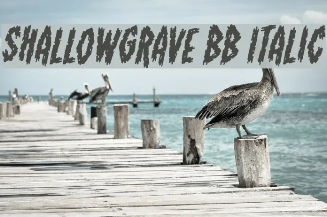 ShallowGrave BB Italic Example 2