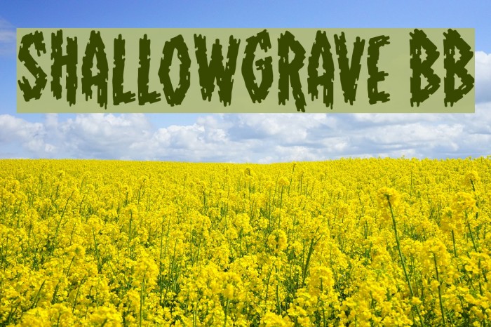 ShallowGrave BB Example 3