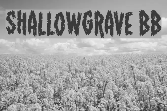 ShallowGrave BB Font examples