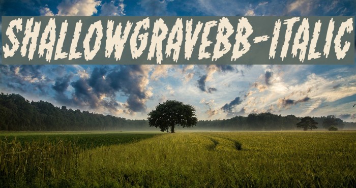 ShallowGraveBB-Italic Font examples