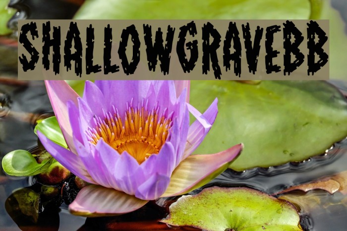 ShallowGraveBB Font examples