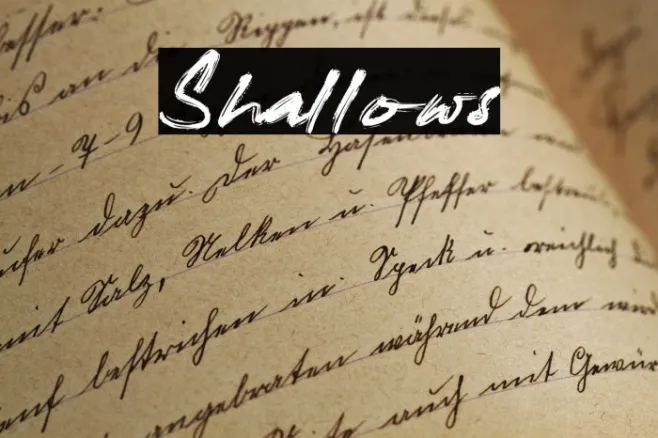 Shallows Example 2