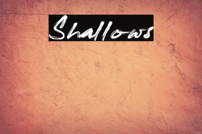 Shallows Example 3