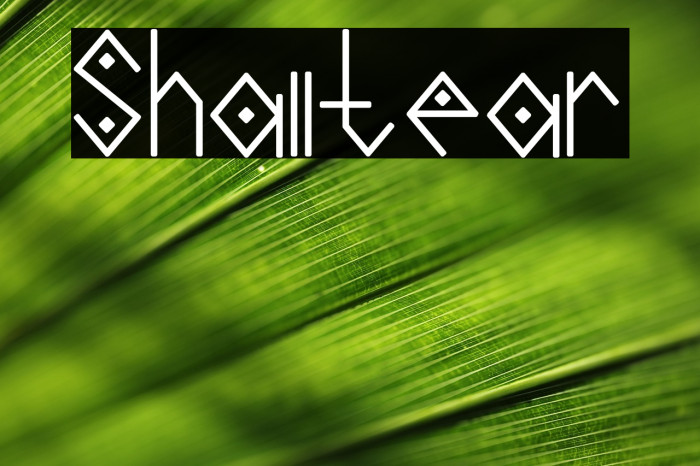 Shalltear Example 1