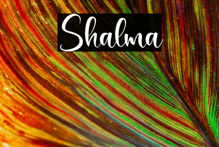 Shalma Example 1