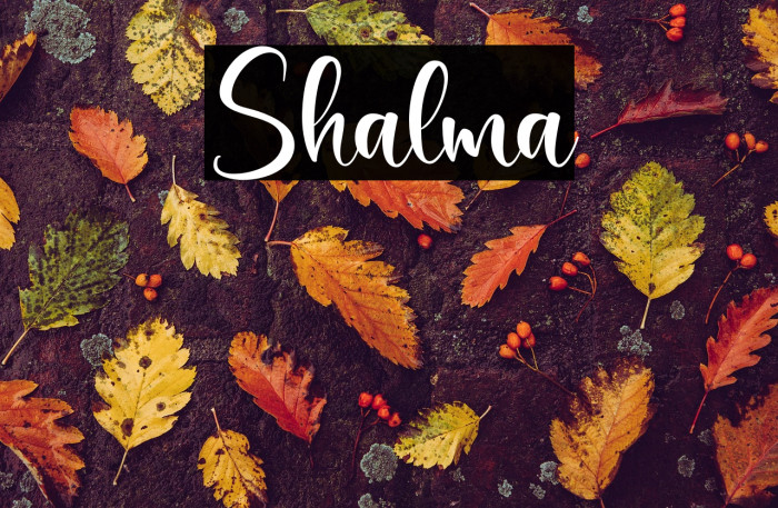 Shalma Example 2