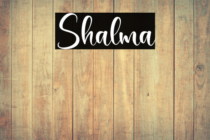 Shalma Example 3