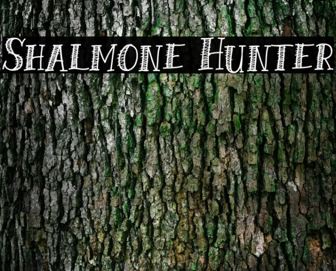 Shalmone Hunter Example 1