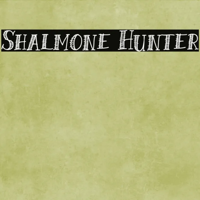 Shalmone Hunter Example 2