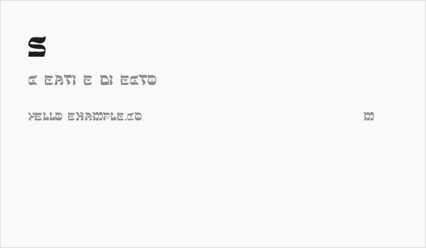 Shalom-Light Business Card