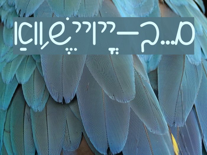 Shalom Script Example 2