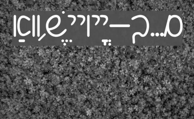 Shalom Script Font examples