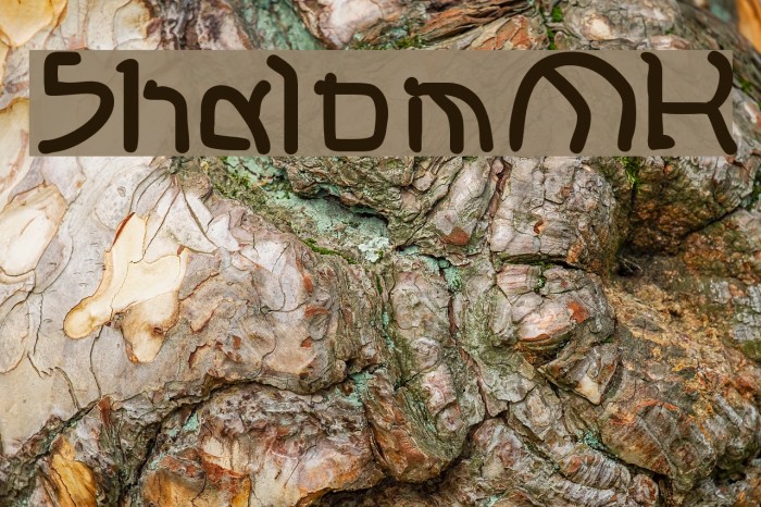 ShalomMK Font examples