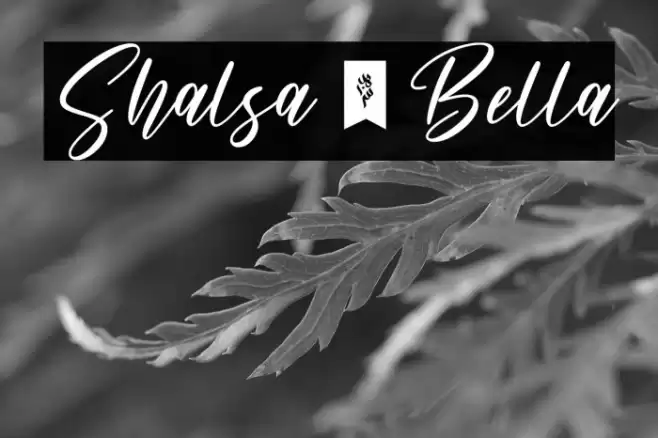 Shalsa_Bella Font examples