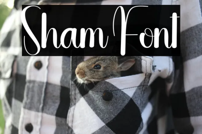 Sham Example 2