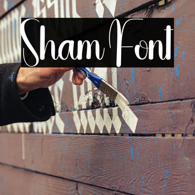 Sham Example 3