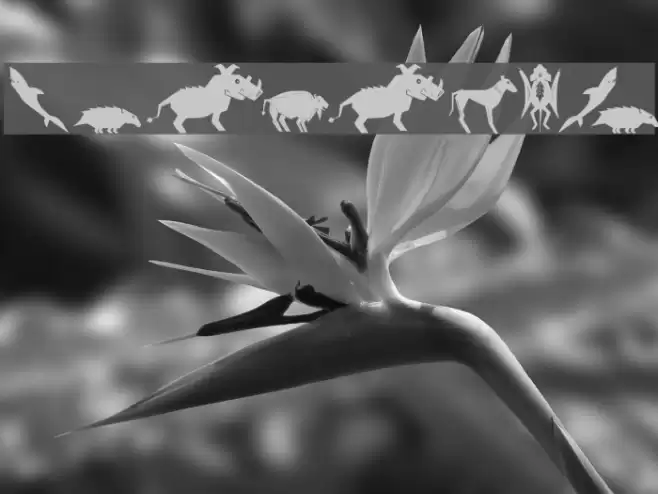 Shamanish Font examples