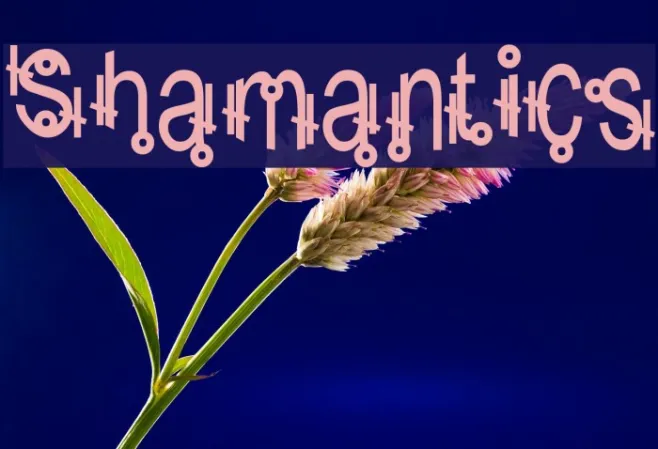 Shamantics Example 3