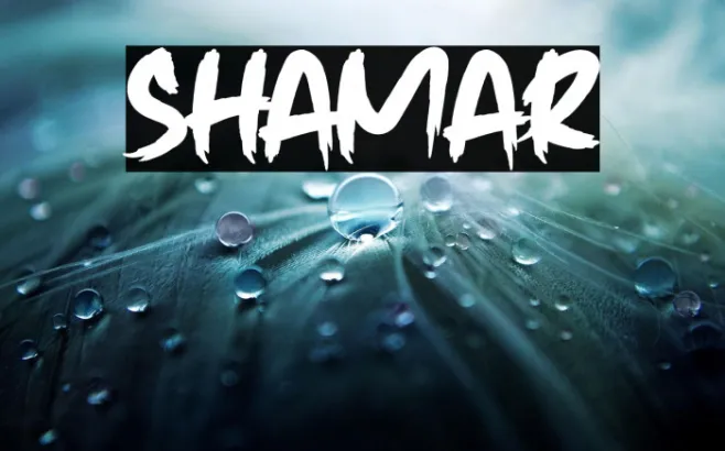 Shamar Example 3